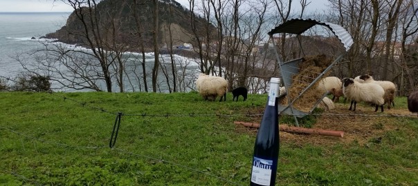 Txakoli de Getaria