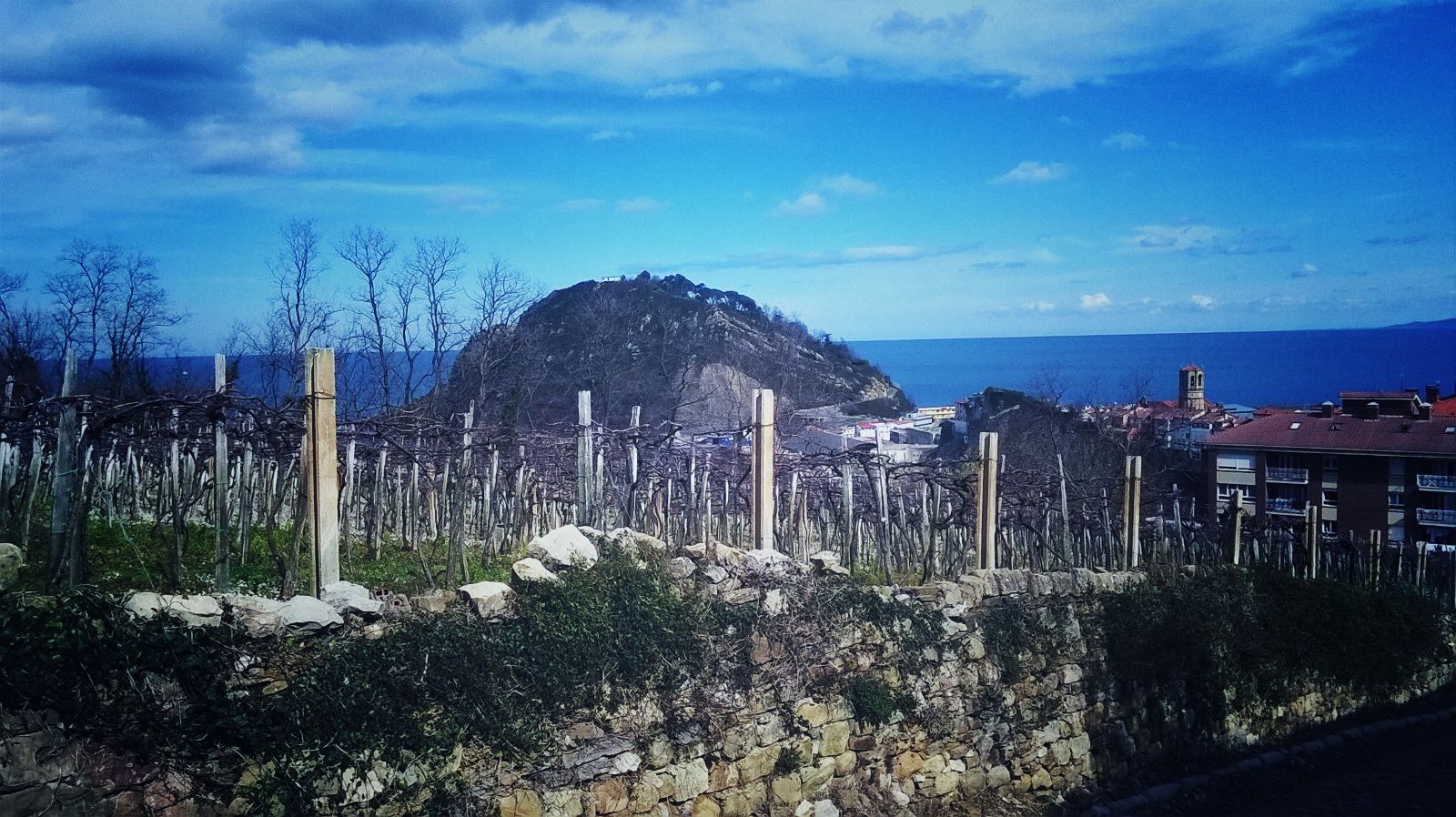 Vistas desde la Ruta del Txakoli