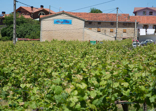 Vistas de la bodega de txakoli Akarregi Txiki